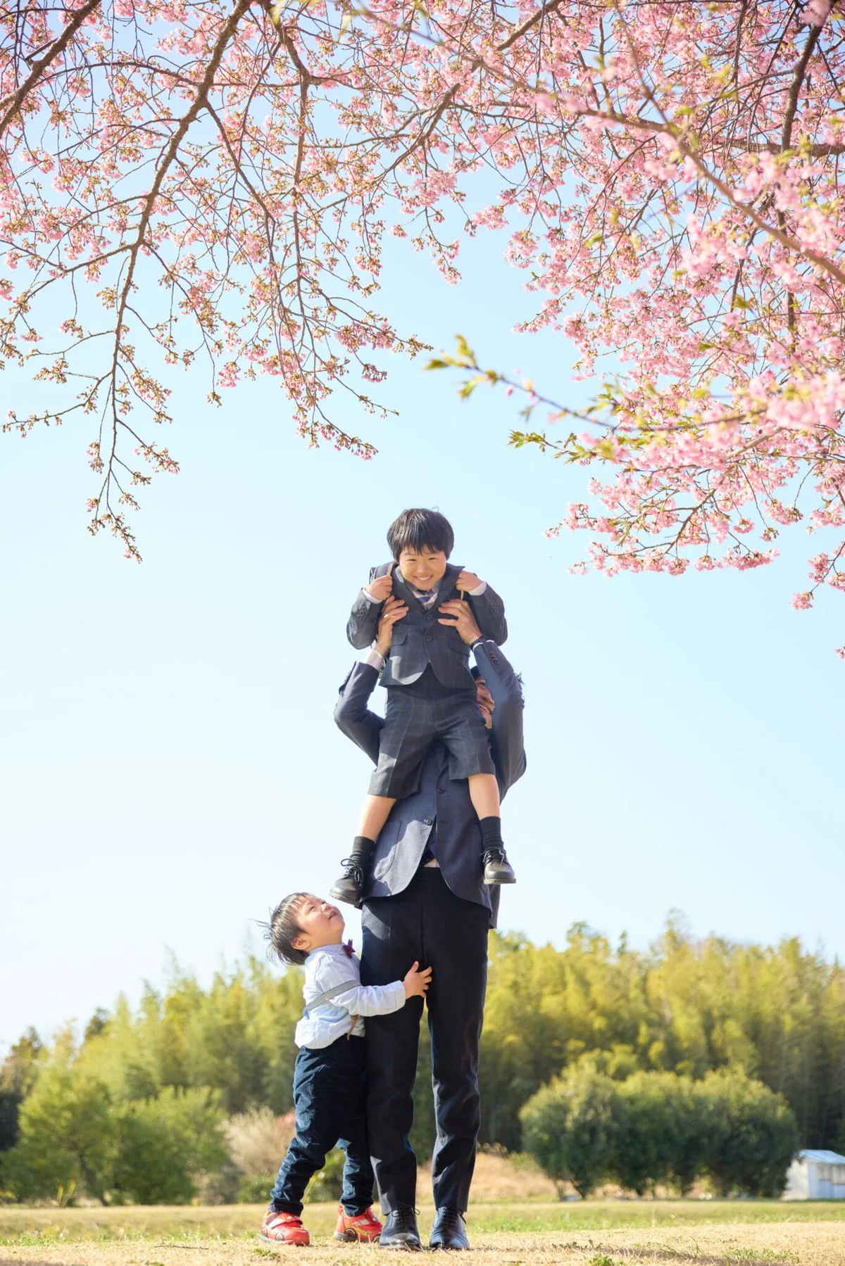 桜の木の下で、お父さんに肩車をしてもらう男の子と、それを見上げる弟