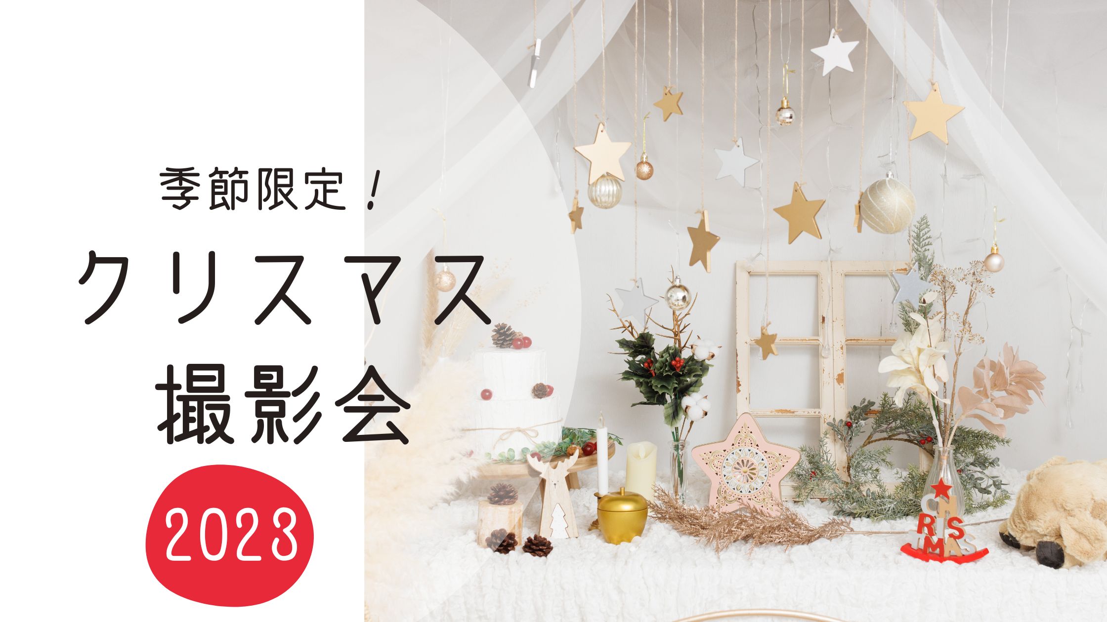 クリスマス撮影会2023のお知らせ