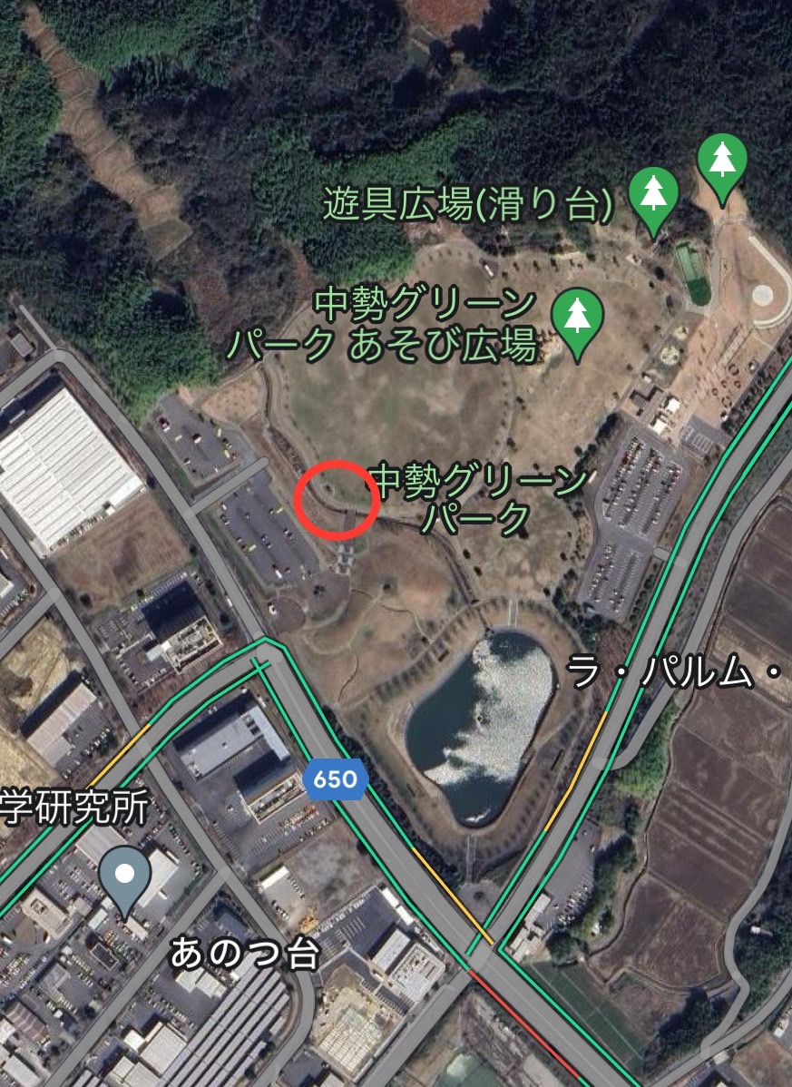6.9ティラノサウルスレースinグリーンパーク会場について