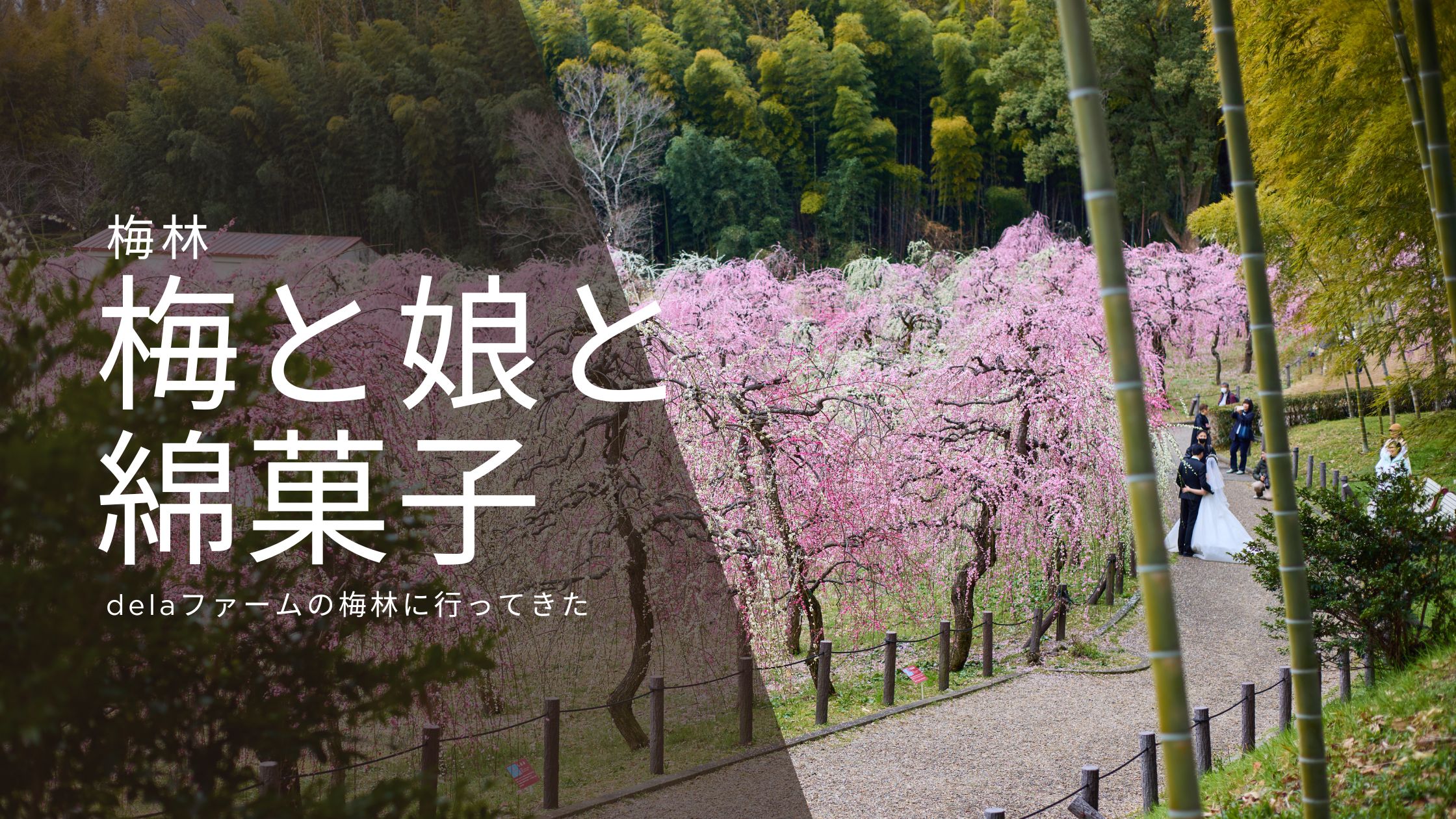 花より団子な娘っ子とdelaファームの梅祭りに行ってきました！
