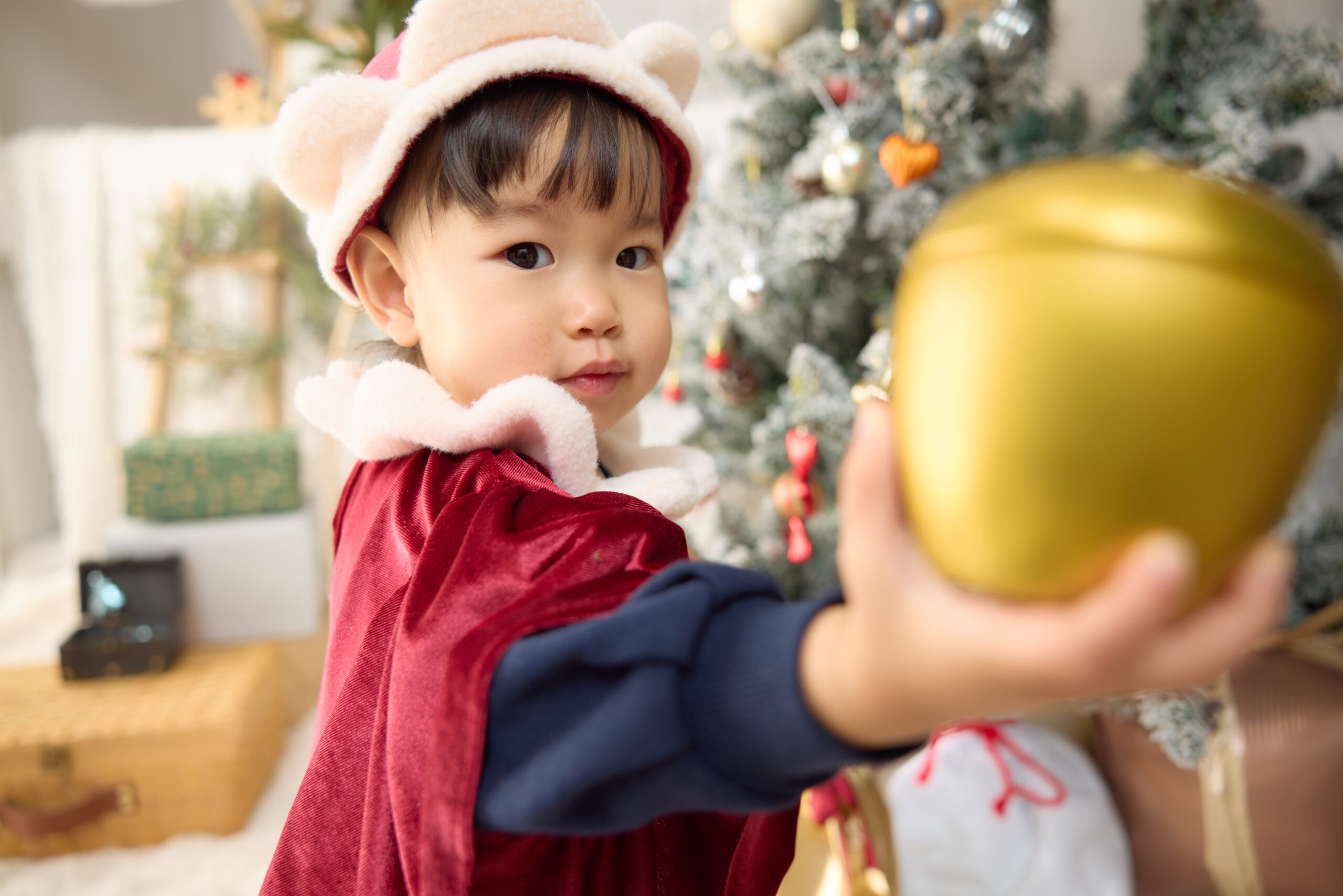 クリスマス撮影会2025ありがとうございました