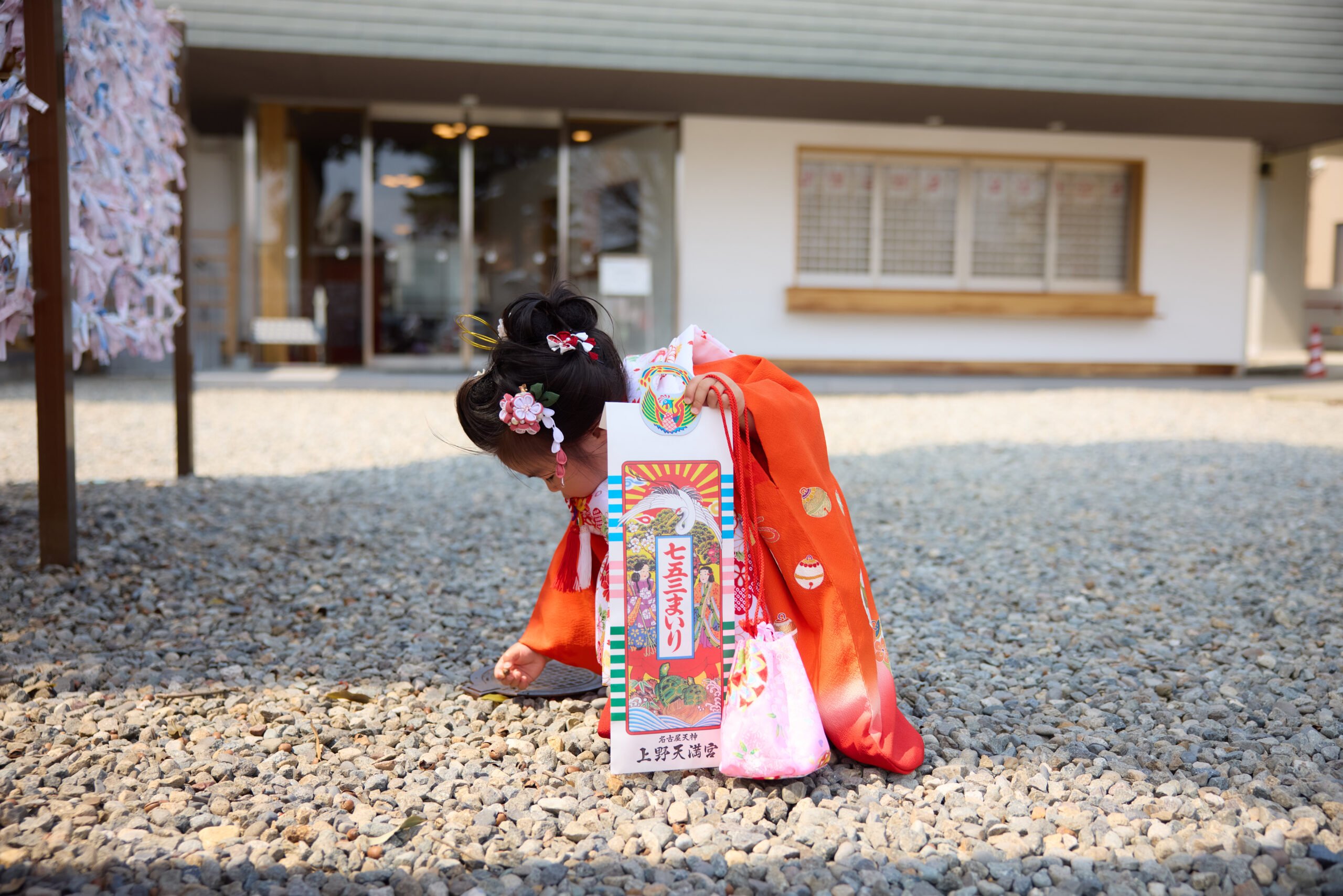 桜の木の下で、七五三